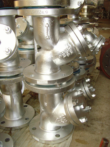 WCB Y type strainers