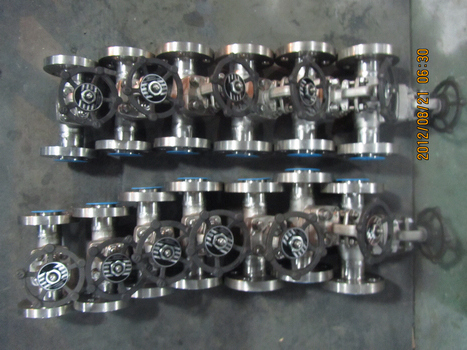 F304L Forged gate valves