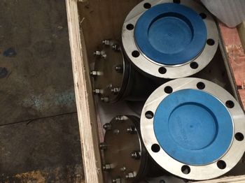CF8M Y type strainer packing