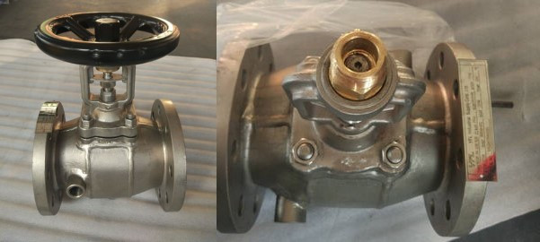 jacketed bellows seal globe valve
