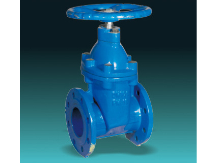 BS5163 Type B DI Resilient seat gate valves
